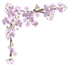 Pink Spring Branch PNG Picture