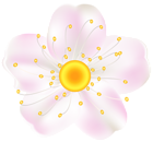 The page with this image: Pink Spring Flower PNG Clipart,is on this link