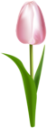 Pink Tulip PNG Clipart
