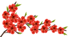 Red Spring Branch PNG Clipart Image