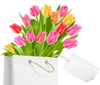 Spring Bag with Tulips PNG Clipart Picture