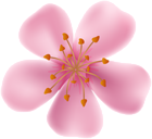 Spring Blooming Flower Clip Art Image