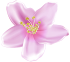 Spring Blooming Flower Tree Pink PNG Clipart