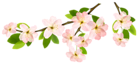 Spring Branch PNG Clipart Picture