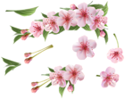 Spring Branch Pink Elements PNG Clipart
