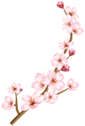 Spring Branch Transparent PNG Clip Art Image
