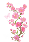 Spring Branch with Butterflies PNG Clipart Picture