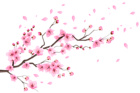 Spring Branch with Falling Petals Clip Art Image