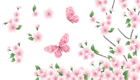 Spring Branch with Pink Flowers and Butterflies PNG Clipart