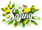 Spring Decorative Image PNG Clipart