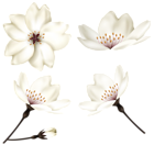 Spring Flowers Clip Art Image