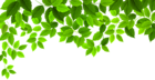 Spring Leaves Decoration PNG Clip Art Image