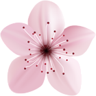 Spring Pink Flower PNG Clip Art Image