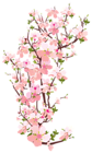 Spring Tree Branch Transparent PNG Clip Art Image