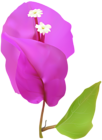 Spring Tree Flower PNG Clip Art Image