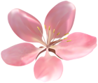 Spring Tree Flower PNG Transparent Clipart