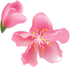 Spring Tree Flowers PNG Clipart