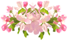 Spring Tree Flowers Transparent PNG Clip Art Image