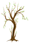 Spring Tree PNG Clipart Picture