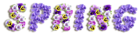 Spring Violets PNG Clipart Picture