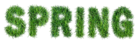 Spring with Grass Text PNG Clipart