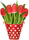 Tulips in Bucket Transparent Image