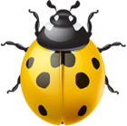 Yellow Ladybird PNG Clip Art