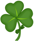 St Patrick Shamrock with Bow PNG Picture