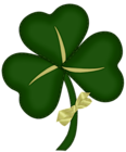 St Patrick Shamrock with Yellow Bow PNG Picture
