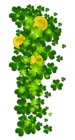 St Patricks Shamrock with Coins PNG Clipart