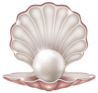 Beautiful Clam with Pearl PNG Clipart Image