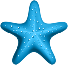 Blue Starfish PNG Clipart