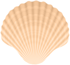Clam Shell PNG Clip-art