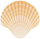 Clam Shell PNG Clipart