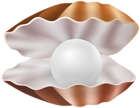 Clam Shell PNG Clipart