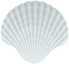 Clam Shell White PNG Clipart