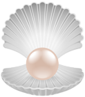 Clam with Pearl Transparent PNG Clip Art Image