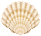 Clamshell Clip Art PNG Transparent Image