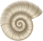 Cockleshell PNG Clip Art Image