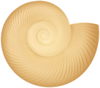 Cockleshell PNG Transparent Clipart