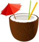 Coconut Cocktail PNG Clip Art Image