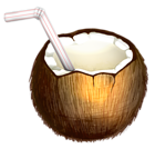 Coconut Cocktail PNG Vector Clipart