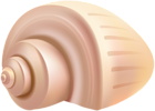 Conch Shell PNG Clip Art