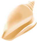 Conch Shell PNG Clip Art Image