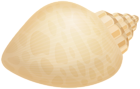 Conch Shell PNG Transparent Clipart