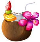 Exotic Coconut Cocktail PNG Clipart