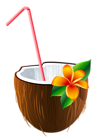 Exotic Coconut Cocktail PNG Clipart Image