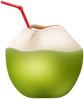 Exotic Coconut Drink PNG Clip Art