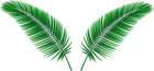 Green Palm Leafs PNG Clipart