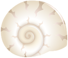 Old Sea Shell PNG Clipart